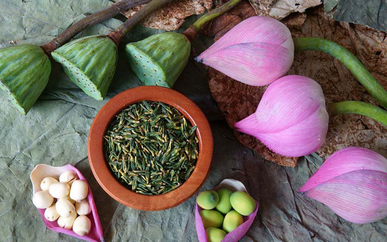 Tim sen, cam thảo giúp chữa mất ngủ do nóng trong, bốc hỏa, tiểu ít