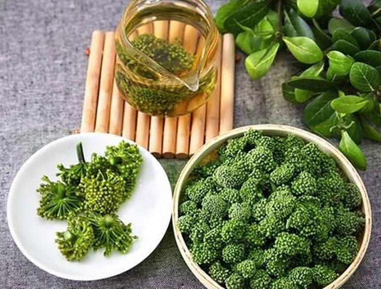 cách trị mất ngủ cho người già tại nhà bằng hoa tam thất