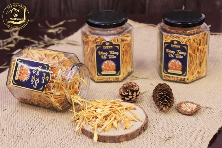 đông trùng hạ thảo chữa mất ngủ