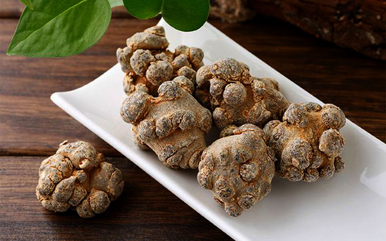 Hoa tam thất chữa mất ngủ củ tam thất chữa mất ngủ