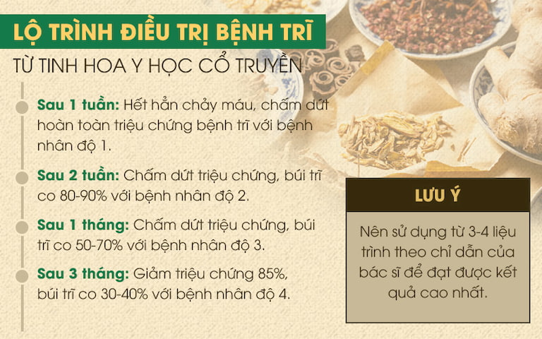 Lộ trình điều trị từng giai đoạn của Thăng trĩ Dưỡng huyết thang