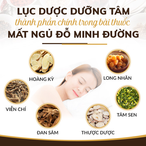 Lục dược dưỡng tâm trong Mất ngủ Đỗ Minh