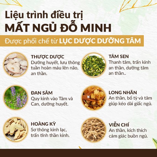 Lục dược dưỡng tâm trong Mất ngủ Đỗ Minh