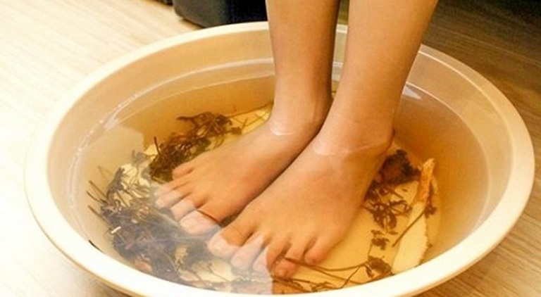 lá lốt là thảo dược ngâm chân trị mất ngủ