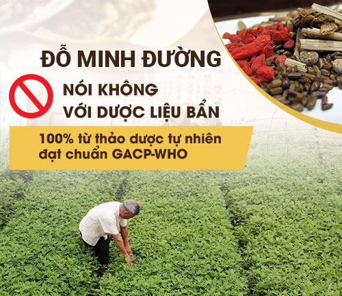 Vườn thuốc nam Đỗ Minh Đường