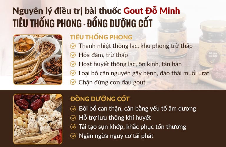 Cơ chế trị bệnh gout Đỗ Minh Đường