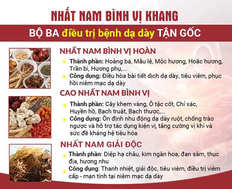 Bài thuốc Nhất Nam Bình Vị Khang trị bệnh dạ dày