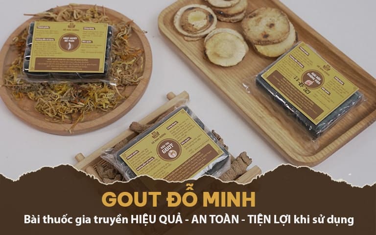 Bài thuốc Gout Đỗ Minh