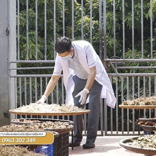 Lương y Đỗ Minh Tuấn là người trực tiếp phối thuốc