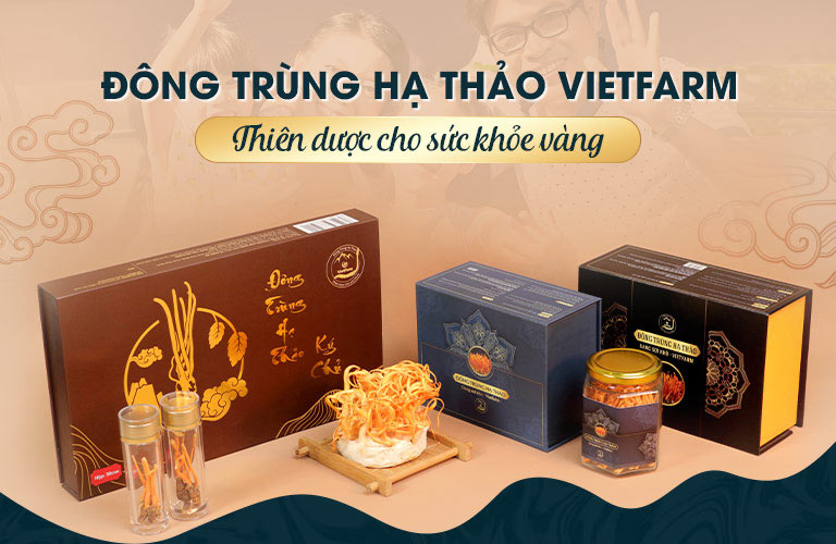 Đông trùng hạ thảo Vietfarm cung cấp đa dạng sản phẩm tốt cho người tiêu dùng