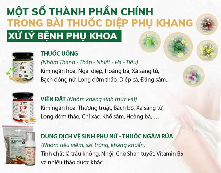 Thành phần Diệp Phụ Khang chữa bệnh phụ khoa