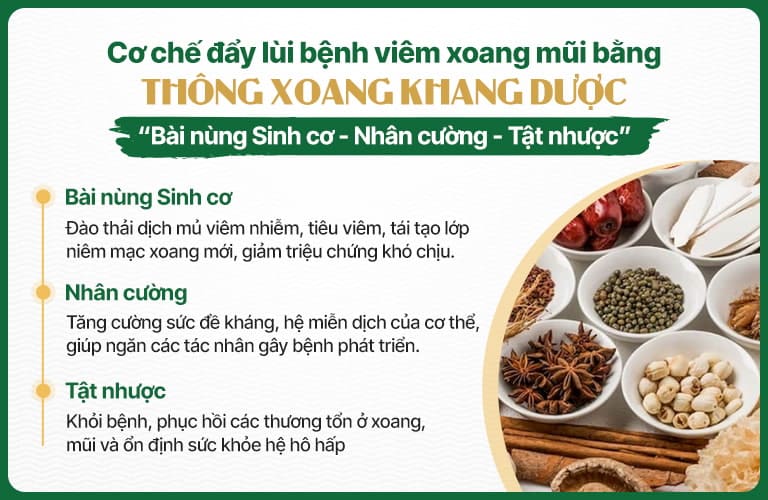 Cơ chế điều trị viêm xoang, viêm mũi dị ứng của Thông xoang Khang dược