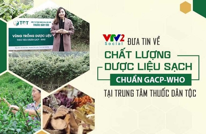 Thuốc Dân Tộc tự chủ dược liệu