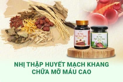 Bài thuốc chữa bệnh mỡ máu Nhị thập Huyết mạch khang