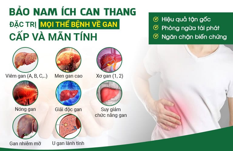 Bảo nam Ích can thang đạt hiệu cao trong ứng dụng điều trị các bệnh lý về gan