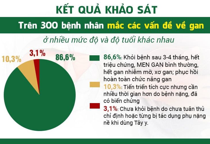 Kết quả kiểm định lâm sàng bài thuốc Bảo nam ích can thang chữa bệnh gan