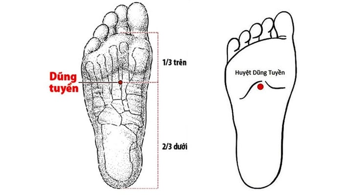 Vị trí huyệt Dũng Tuyền