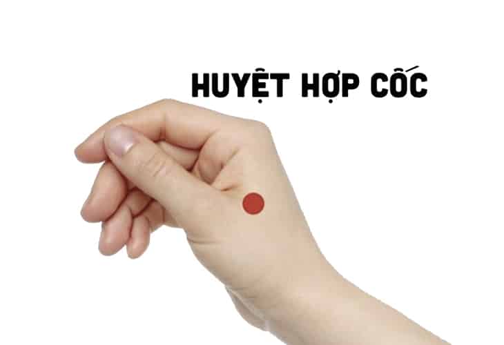 Huyệt Hợp Cốc (LI4), còn được gọi là Hổ Khẩu, là một huyệt đạo quan trọng