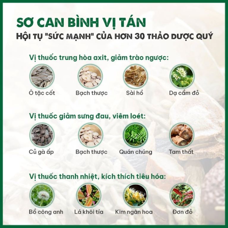 Thành phần thảo dược Sơ can Bình vị tán