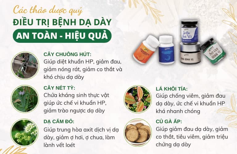 5 biệt dược quý trong bài thuốc