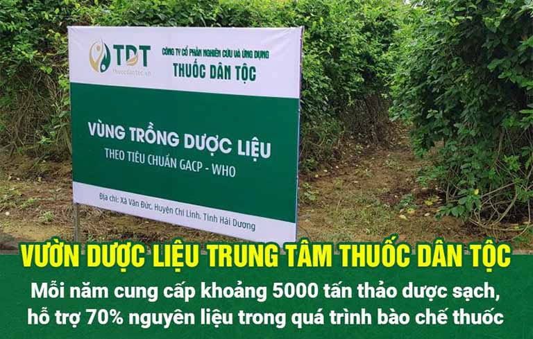 Vườn dược liệu Trung tâm Thuốc dân tộc